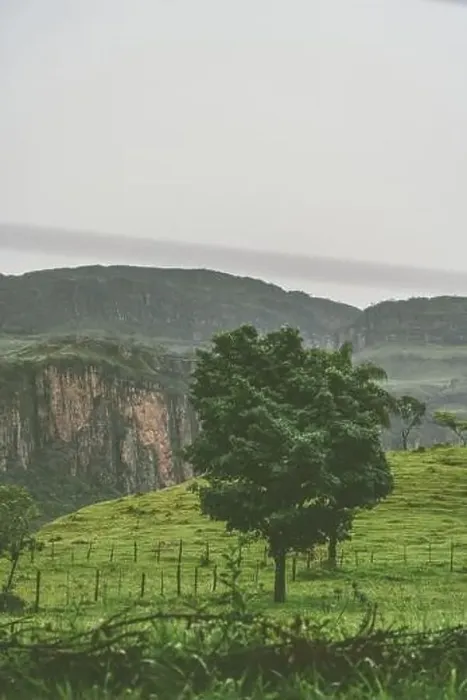 Framed Print : Pure nature landscape at the Serra da Canastra National Park in Brazil Framed Print : Pure nature landscape at the Serra da Canastra National Park in Brazil
