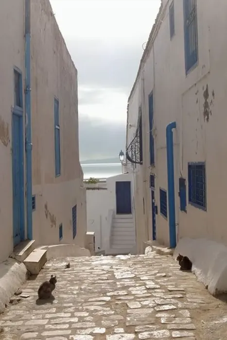 Framed Print : A quiet street Sidi Bou Said Tunisia Framed Print : A quiet street Sidi Bou Said Tunisia