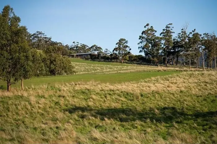 Framed Print : ranch farming landscape, with rolling hills and cows in fields, in Australia Framed Print : ranch farming landscape, with rolling hills and cows in fields, in Australia