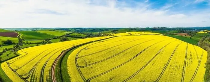 Framed Print : Rapeseed fields and farms from a drone, Devon, England Framed Print : Rapeseed fields and farms from a drone, Devon, England