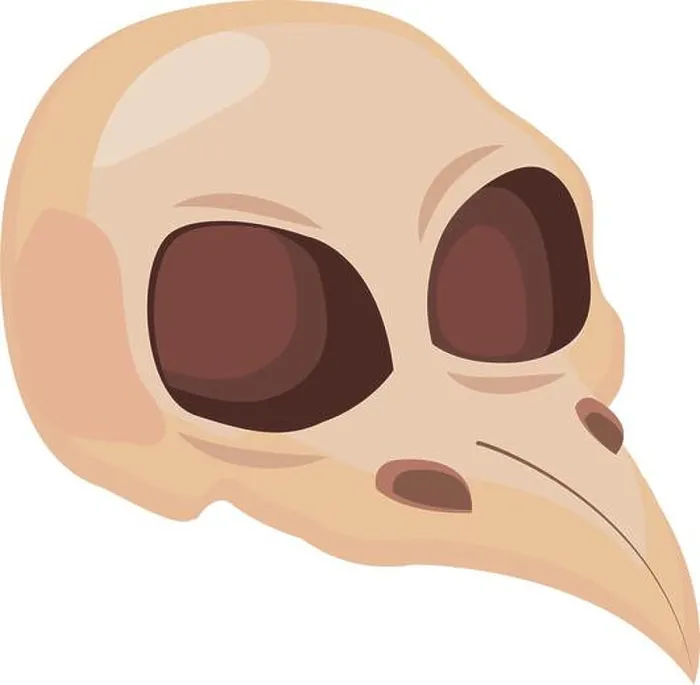 Framed Print : raven skull icon