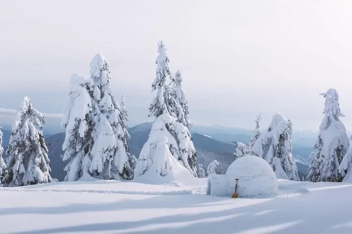 Framed Print : Real snow igloo house in the winter Carpathian mountains. Snow-covered firs on the background Framed Print : Real snow igloo house in the winter Carpathian mountains. Snow-covered firs on the background