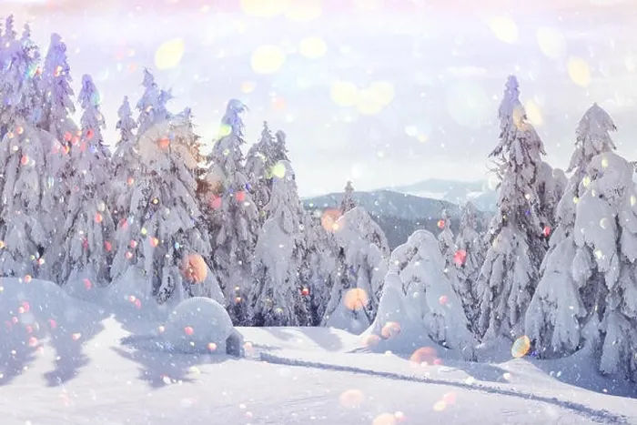 Framed Print : Real snow igloo house in the winter Carpathian mountains. Snow-covered firs on the background. Christmas holiday postcard collage Framed Print : Real snow igloo house in the winter Carpathian mountains. Snow-covered firs on the background. Christmas holiday postcard collage