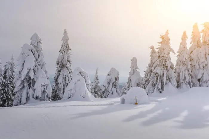 Framed Print : Real snow igloo house in the winter Carpathian mountains. Snow-covered firs on the background Framed Print : Real snow igloo house in the winter Carpathian mountains. Snow-covered firs on the background