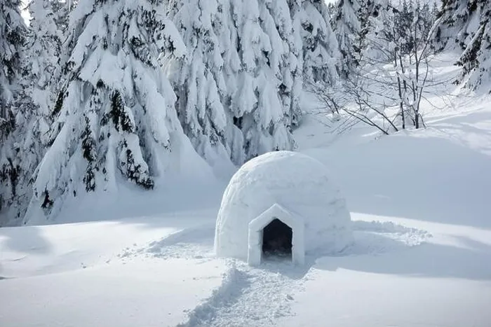 Framed Print : Real snow igloo house in the winter Carpathian mountains. Snow-covered firs on the background. Landscape photography Framed Print : Real snow igloo house in the winter Carpathian mountains. Snow-covered firs on the background. Landscape photography