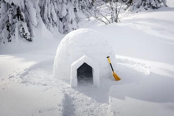Real snow igloo house in the winter Carpathian mountains