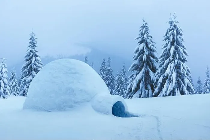 Framed Print : Real snow igloo house in the winter mountains. Snow-covered firs on the background. Foggy forest with snowy spruce Framed Print : Real snow igloo house in the winter mountains. Snow-covered firs on the background. Foggy forest with snowy spruce
