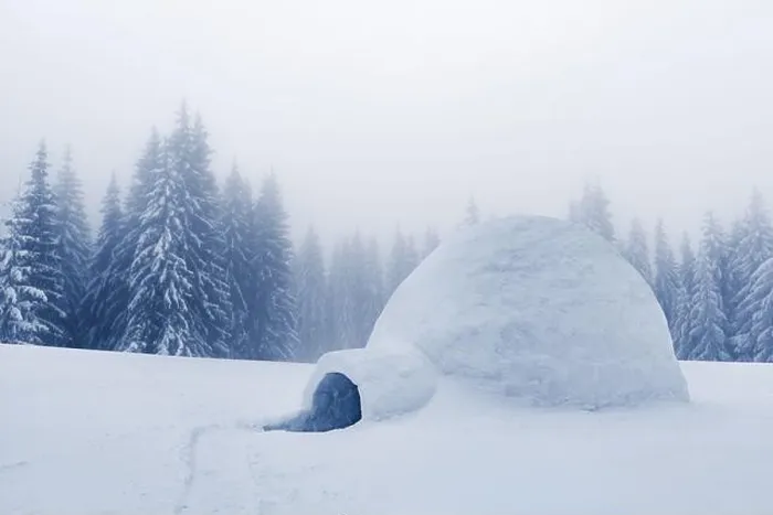 Framed Print : Real snow igloo house in the winter mountains. Snow-covered firs on the background. Foggy forest with snowy spruce Framed Print : Real snow igloo house in the winter mountains. Snow-covered firs on the background. Foggy forest with snowy spruce