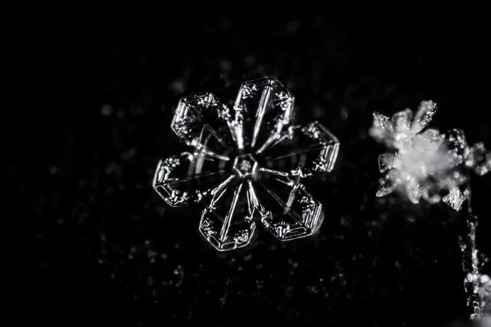 Framed Print : Real snowflake on black backgroun macro photography Framed Print : Real snowflake on black backgroun macro photography