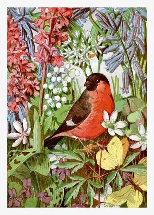 Framed Print : Red bird, yellow butterfly and spring flowers. Seasonal illustration of The illustrated London Almanack (1845 to 1895) Framed Print : Red bird, yellow butterfly and spring flowers. Seasonal illustration of The illustrated London Almanack (1845 to 1895)