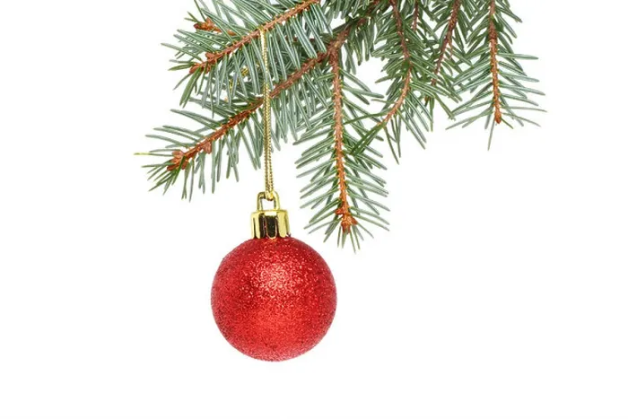 Framed Print : A red Christmas bauble hanging from a branch of a Christmas tree isolated against white Framed Print : A red Christmas bauble hanging from a branch of a Christmas tree isolated against white