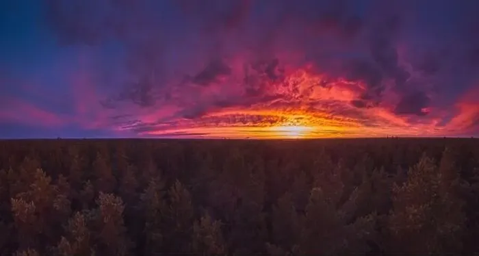 Framed Print : Red sunset above forest, panorama of dreamy landscape Framed Print : Red sunset above forest, panorama of dreamy landscape