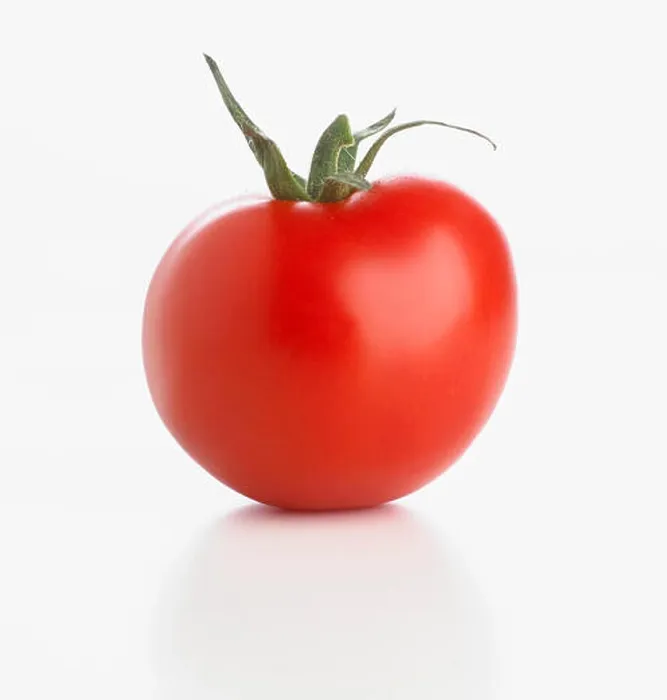 Framed Print : Red tomato Framed Print : Red tomato