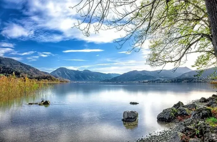 Framed Print : Reeds on the shore of Tegernsee on a sunny spring morning with autumn leaves and trees, Gmund am See, Bavaria, Germany Framed Print : Reeds on the shore of Tegernsee on a sunny spring morning with autumn leaves and trees, Gmund am See, Bavaria, Germany