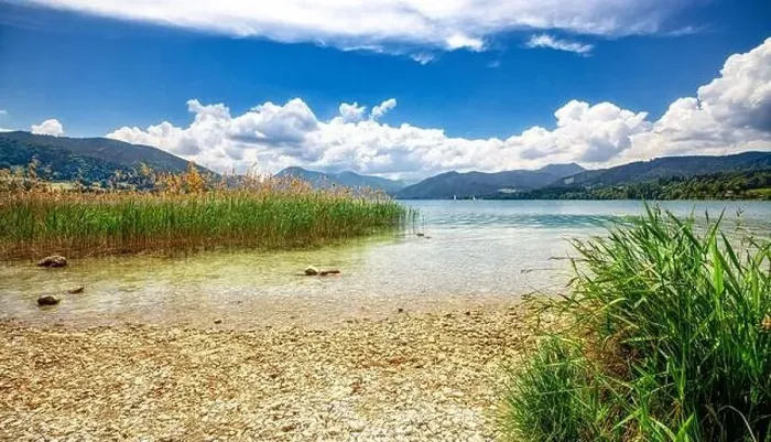 Framed Print : Reeds on the shore of Tegernsee on a sunny spring morning with autumn leaves and trees, Gmund am See, Bavaria, Germany Framed Print : Reeds on the shore of Tegernsee on a sunny spring morning with autumn leaves and trees, Gmund am See, Bavaria, Germany