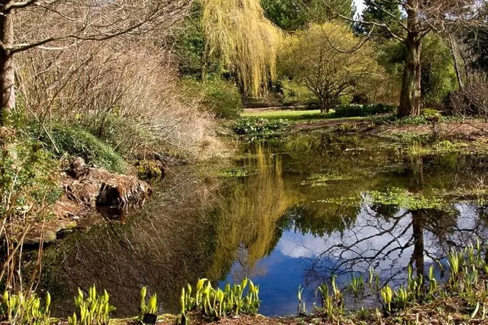 Framed Print : Reflections on a mall pond called Loch Machar at the Dundee Botanic Gardens, UK Framed Print : Reflections on a mall pond called Loch Machar at the Dundee Botanic Gardens, UK