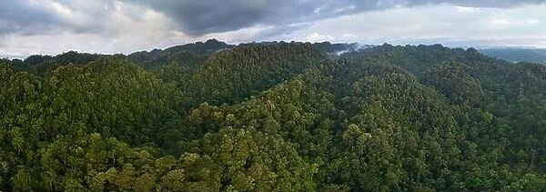 Remote, rugged islands in West Papua, Indonesia, are covered by thick, green rainforest. This tropical region harbors extraordinary biodiversity