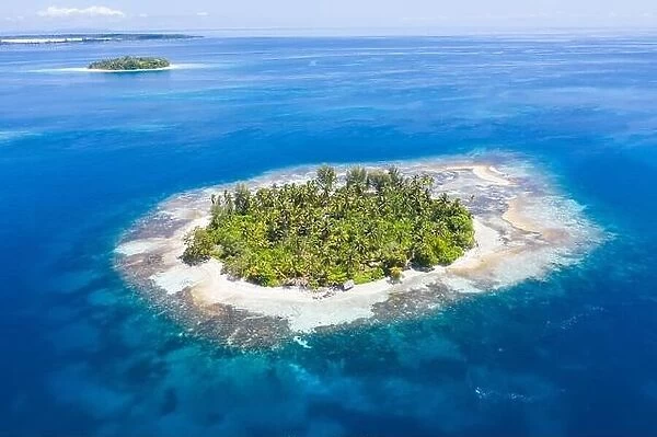 A remote, tropical island in the Molucca Sea, Indonesia, is surrounded by a healthy coral reef. This region is home to incredible marine biodiversity