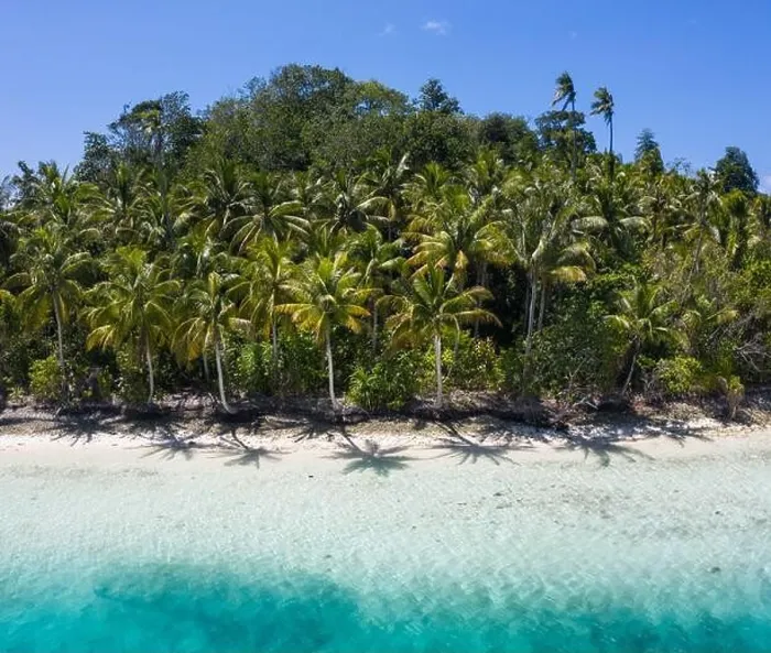 Framed Print : A remote, white sand beach, shaded by coconut palm trees, is surrounded by clear, warm water in Raja Ampat, Indonesia. This tropical area is gorgeous Framed Print : A remote, white sand beach, shaded by coconut palm trees, is surrounded by clear, warm water in Raja Ampat, Indonesia. This tropical area is gorgeous