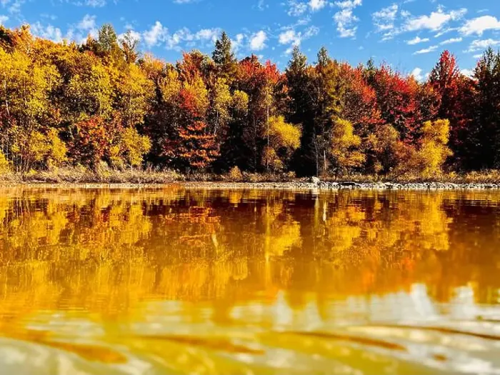 Framed Print : Reservoir Choiniere, Yamaska, Quebec, Canada - view of the shores in Autumn. Fall landscape