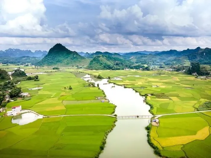 Framed Print : Rice and rice field at Phong Nam village in Trung Khanh Framed Print : Rice and rice field at Phong Nam village in Trung Khanh