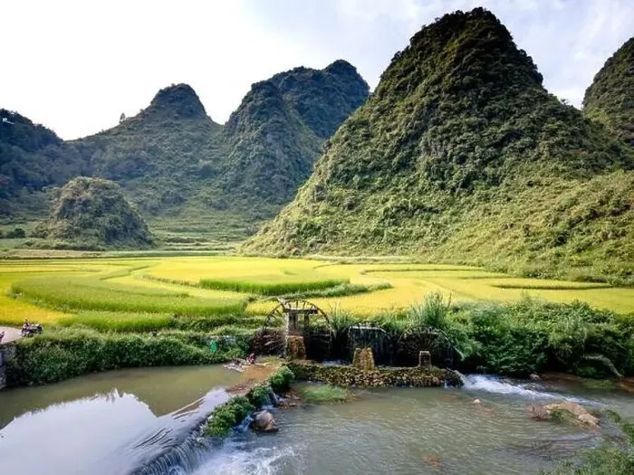 Framed Print : Rice and rice field at Phong Nam village in Trung Khanh Framed Print : Rice and rice field at Phong Nam village in Trung Khanh