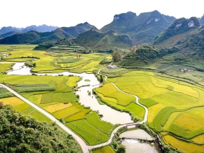 Framed Print : Rice and rice field at Phong Nam village in Trung Khanh Framed Print : Rice and rice field at Phong Nam village in Trung Khanh