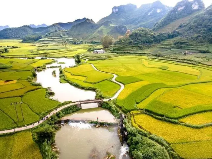 Framed Print : Rice and rice field at Phong Nam village in Trung Khanh Framed Print : Rice and rice field at Phong Nam village in Trung Khanh