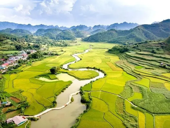Framed Print : Rice and rice field at Phong Nam village in Trung Khanh Framed Print : Rice and rice field at Phong Nam village in Trung Khanh