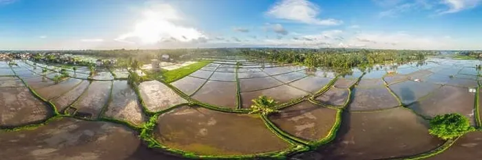 Framed Print : Rice Terrace Aerial Shot. Image of beautiful terrace rice field Framed Print : Rice Terrace Aerial Shot. Image of beautiful terrace rice field