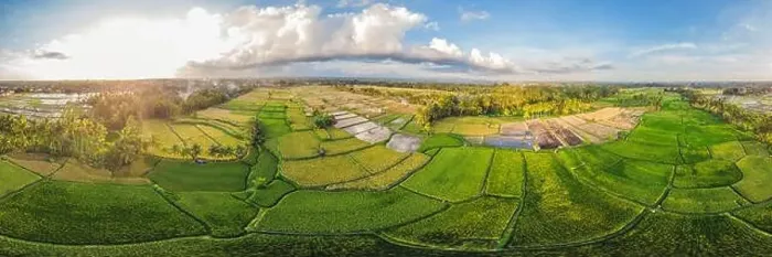 Framed Print : Rice Terrace Aerial Shot. Image of beautiful terrace rice field Framed Print : Rice Terrace Aerial Shot. Image of beautiful terrace rice field