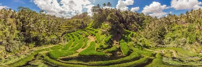 Framed Print : Rice Terrace Aerial Shot. Image of beautiful terrace rice field Framed Print : Rice Terrace Aerial Shot. Image of beautiful terrace rice field
