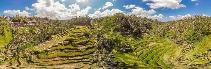 Framed Print : Rice Terrace Aerial Shot. Image of beautiful terrace rice field