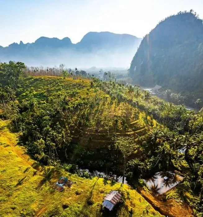 Framed Print : Rice terraces near Doi Tapang viewpoint in Chumphon, Thailand Framed Print : Rice terraces near Doi Tapang viewpoint in Chumphon, Thailand