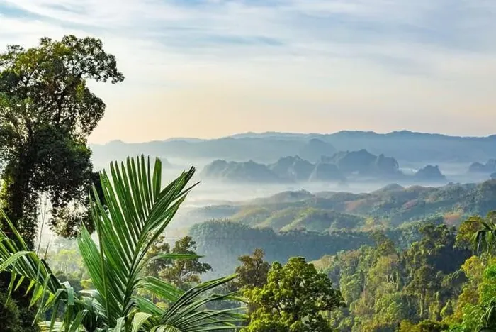 Framed Print : Rice terraces near Doi Tapang viewpoint in Chumphon, Thailand