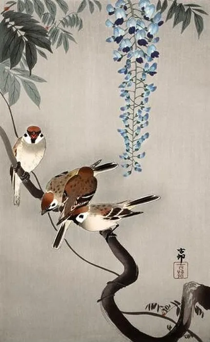 Framed Print : Ring sparrows at wisteria (1900 - 1936) by Ohara Koson (1877-1945) Framed Print : Ring sparrows at wisteria (1900 - 1936) by Ohara Koson (1877-1945)