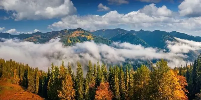 Framed Print : River of fog floving on the mountain valley Framed Print : River of fog floving on the mountain valley