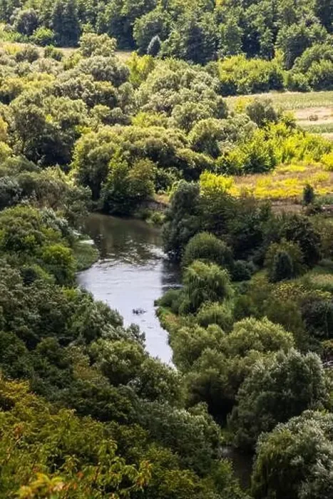 Framed Print : River among green trees in summer. Aerial drone view Framed Print : River among green trees in summer. Aerial drone view