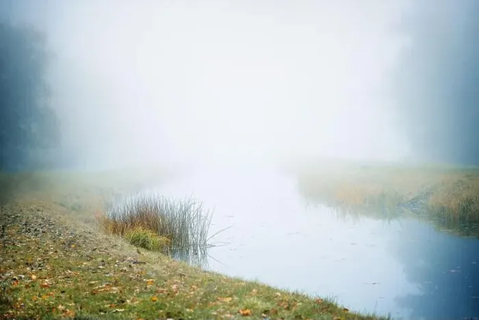Framed Print : Riverbank with grass and sedge on calm water in the mist on an autumn morning Framed Print : Riverbank with grass and sedge on calm water in the mist on an autumn morning