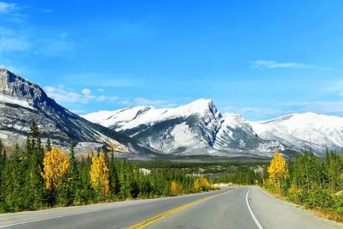 Framed Print : The road 93 beautiful Icefield Parkway in Autumn Jasper National park, Canada Framed Print : The road 93 beautiful Icefield Parkway in Autumn Jasper National park, Canada