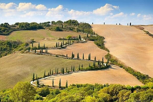 Road with cypresses, Tuscany, Italy