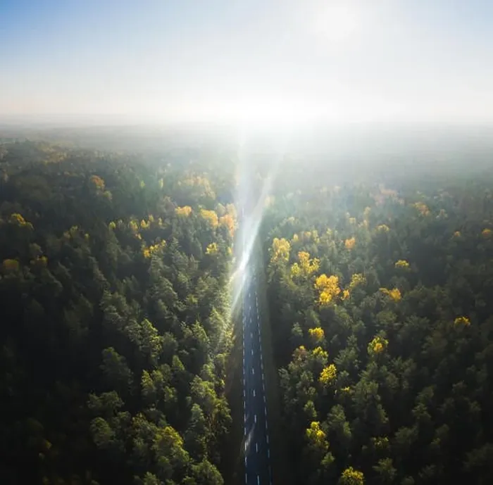 Framed Print : Road through forest, aerial view Framed Print : Road through forest, aerial view