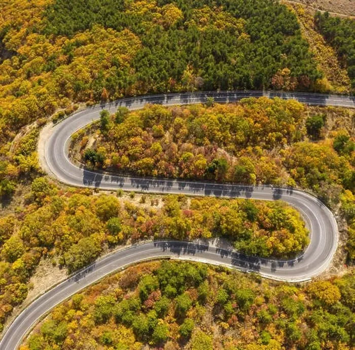 Framed Print : Road in forest at autumn season Framed Print : Road in forest at autumn season