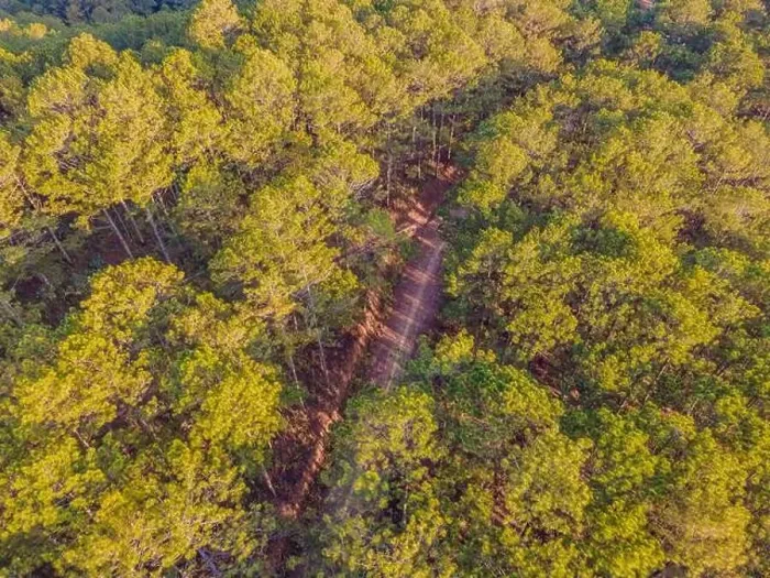 Framed Print : Empty road in a forest at early winter time. Aerial view from a drone looking down Framed Print : Empty road in a forest at early winter time. Aerial view from a drone looking down