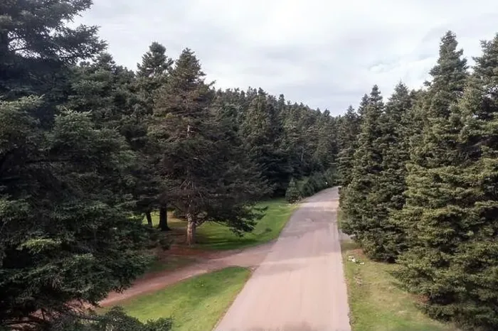 Framed Print : Road and a forest glade among fir trees in mountains, aerial drone view. Cloudy sky, Spring season Framed Print : Road and a forest glade among fir trees in mountains, aerial drone view. Cloudy sky, Spring season