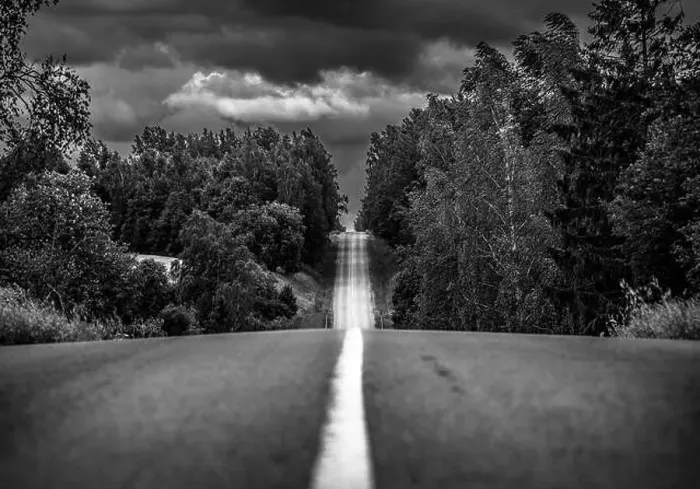 Framed Print : road, highway in autumn forest, larch, pine, landscape, day Framed Print : road, highway in autumn forest, larch, pine, landscape, day