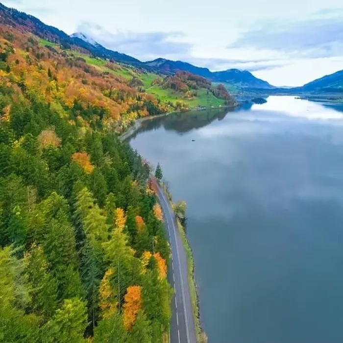 Framed Print : The road along the lake. Forest. Aerial view Framed Print : The road along the lake. Forest. Aerial view