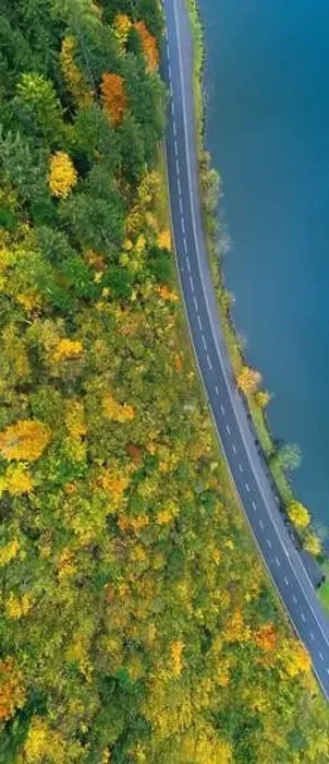 Framed Print : The road along the lake. Forest. Aerial view. Vertical panorama Framed Print : The road along the lake. Forest. Aerial view. Vertical panorama