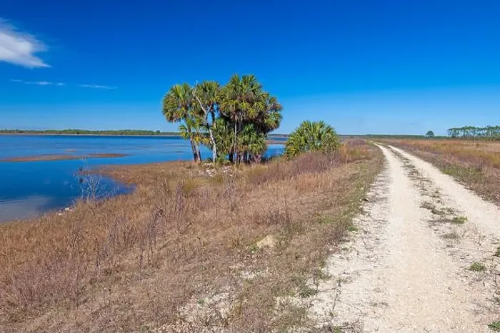 Framed Print : Road and Levee Through a Wildlife Refuge in St Marks National Willdife Refuge in Florida Framed Print : Road and Levee Through a Wildlife Refuge in St Marks National Willdife Refuge in Florida
