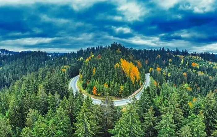 Framed Print : The road in the mountain forest. A wonderful autumn landscape. Drone view. Concept, freedom and travel Framed Print : The road in the mountain forest. A wonderful autumn landscape. Drone view. Concept, freedom and travel